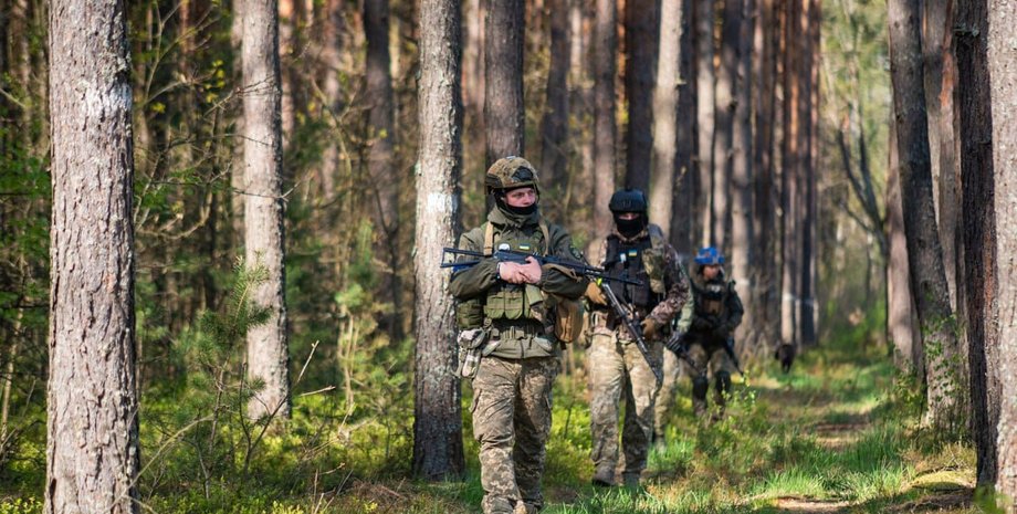 Украинские военные, ВСУ, Силы обороны