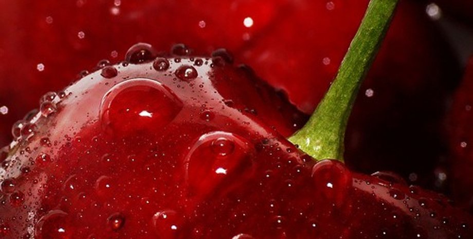 Фото: samoevkusnoe.ru