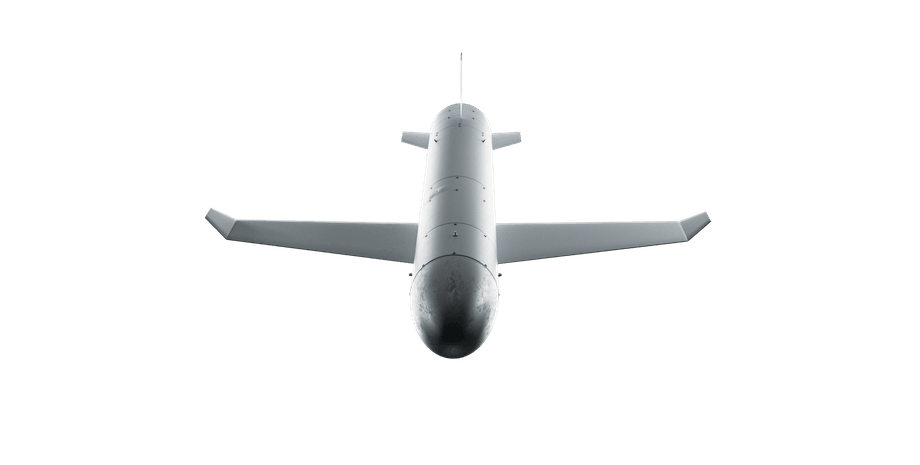 дрон, ракета, Паляница, паляниця, вооружение, БПЛА