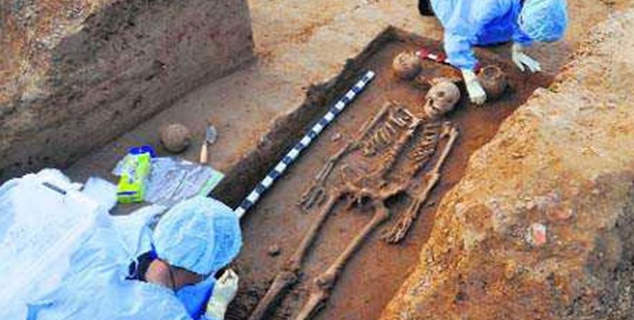 Фото из открытого источника