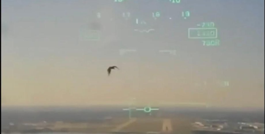 самолет столкнулся с птицей, Видео падения самолета, вмс США, авиакатастрофа, летные инциденты, происшествия в небе