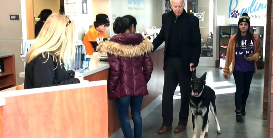 Джо Байден, пес