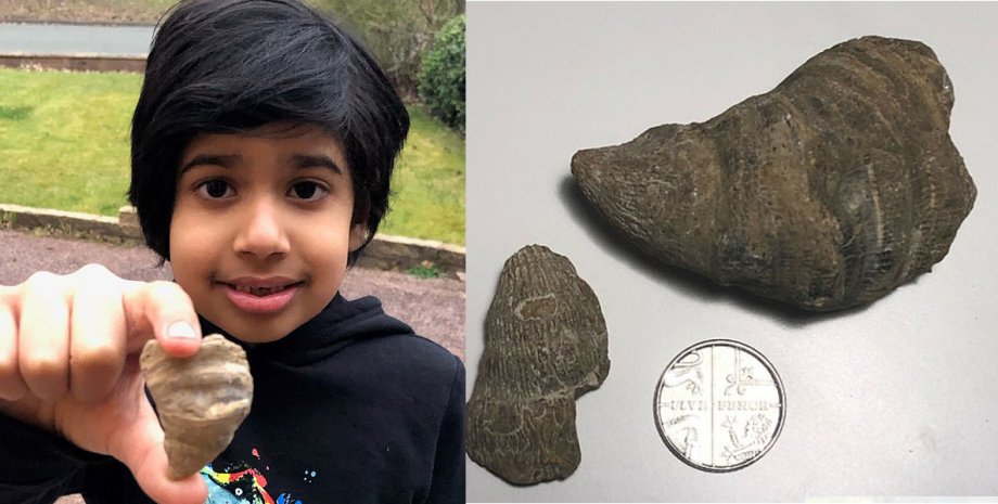 обнаруженная древность в англии, мальчик нашел артефакт