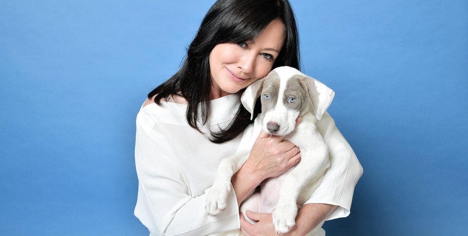 Шеннон Доэрти, собака, щенок