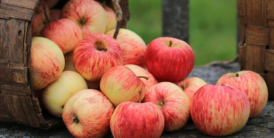 Фото: Kolobok.ua