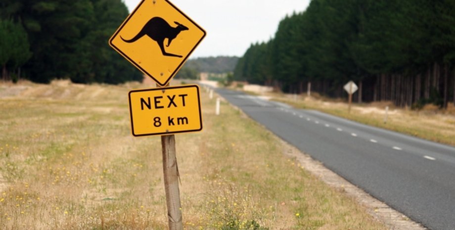 Фото: Nicolo Bonazzi / Flickr