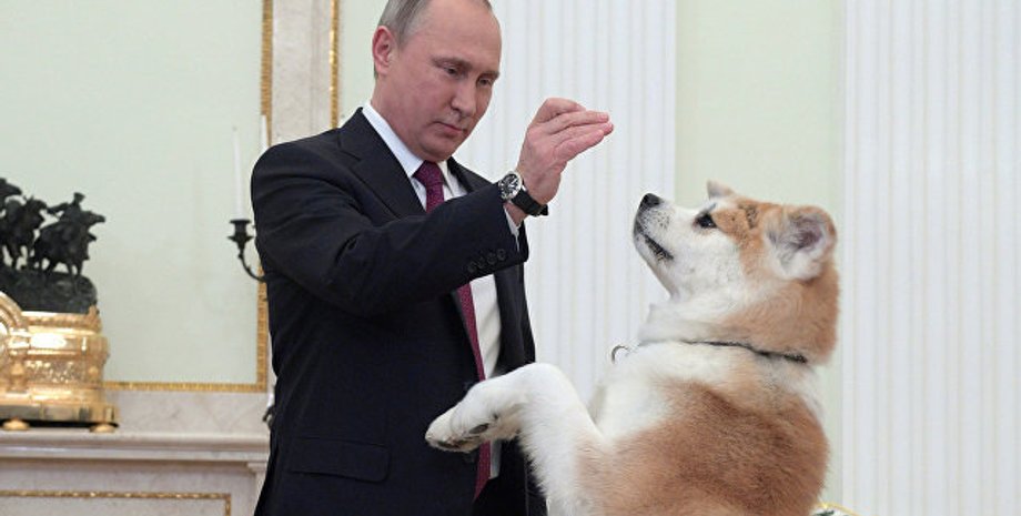 Фото: РИА Новости