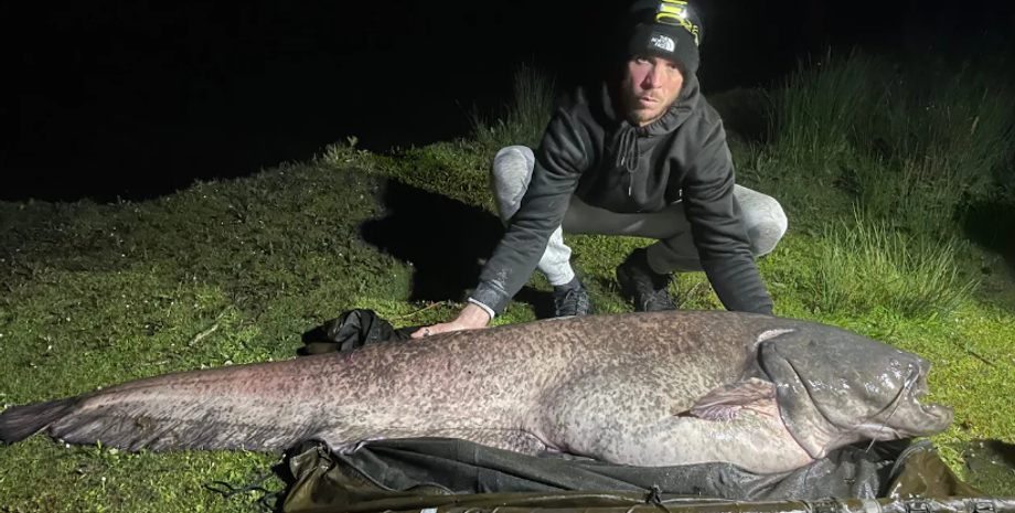 Сома рекордних розмірів спіймав чоловік у Великій Британії, риба, риболовля, улов, рекорди