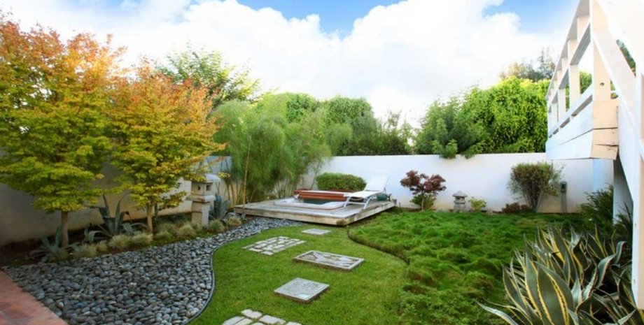 Дикі качки приходять в гості до власниці будинку, жінка пояснила, чому так відбувається, дивовижний випадок