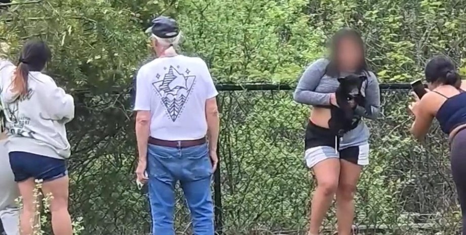 Люди мучали медвежонка ради фото Люди мучали медвежонка ради фото, детеныш медведя, медведь, животные сняли с дерева, селфи, ради фото, вызвали полицию