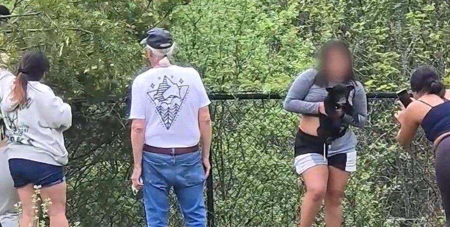 Люди мучили ведмежа заради фото, дитинча ведмедя, ведмідь, тварини зняли з дерева, селфі, заради фото, викликали поліцію