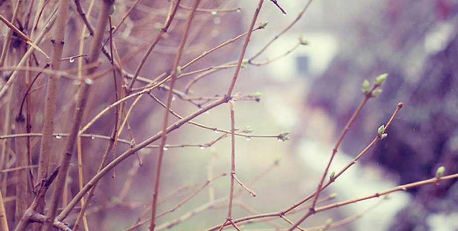 Фото: trushnikov.livejournal.com