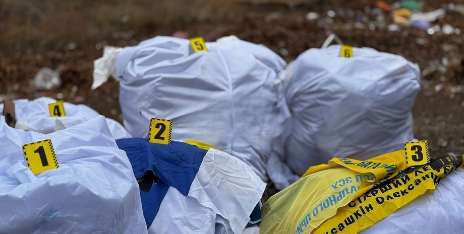 флаг, мешок, мусорка, кривой рог