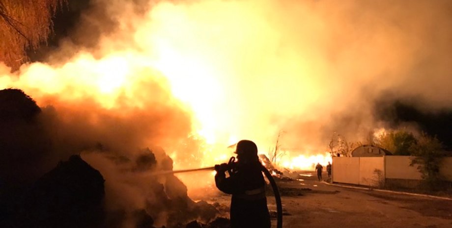 Иллюстративное фото