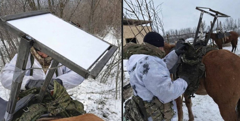 На коня в армії РФ встановили Старлінк Старлінк на коні в армії РФ
