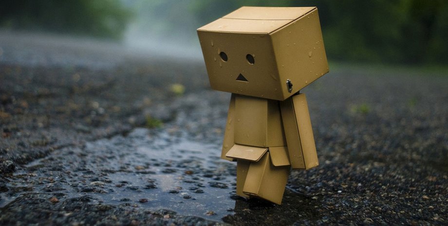 Фото: открытые источники