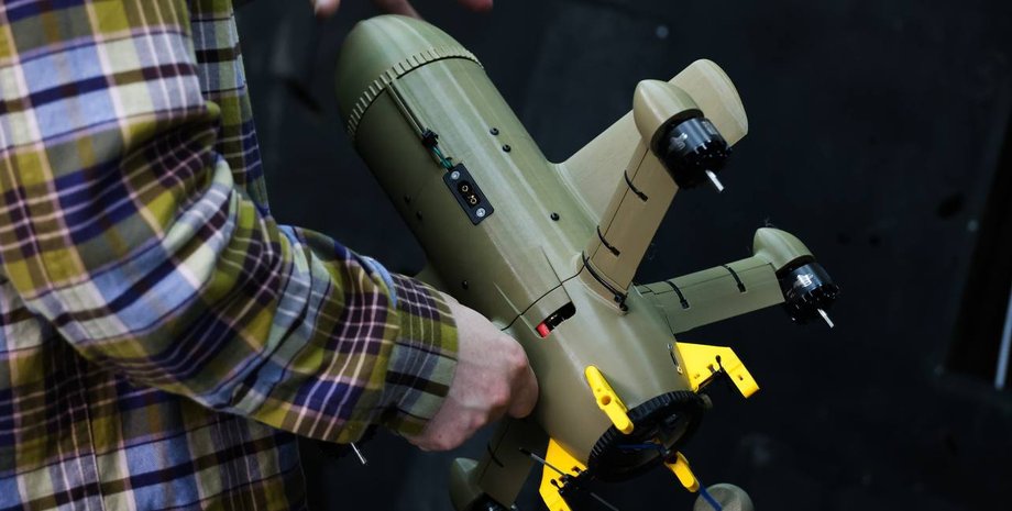 Дрон Wild Hornets