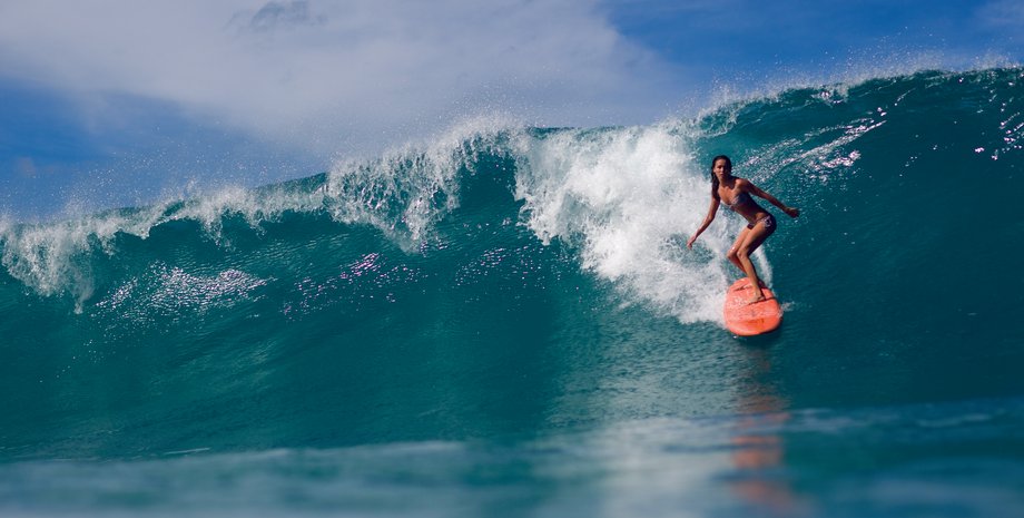 Фото: artleo-com