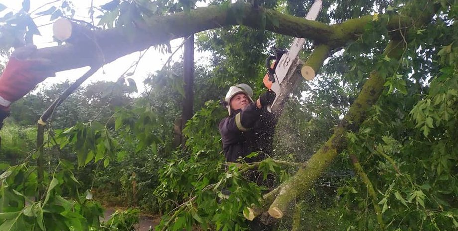 Фото: Владимир Нестеров/Facebook