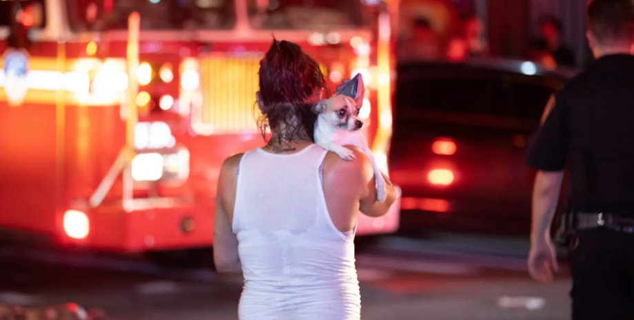 Мужчина поджег свой дом в Нью-Йорке назло соседям, пожар в доме, скандал, конфликты в ЖК, фото, США, курьезы