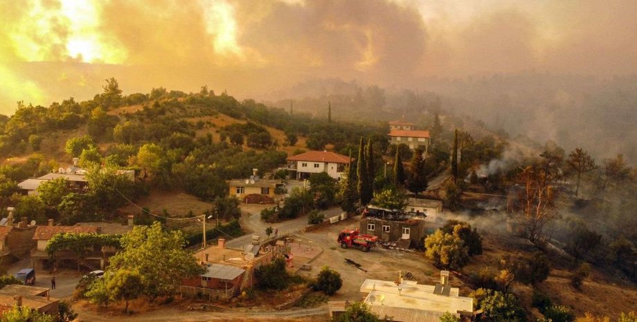 лес, деревня, пожар, фото