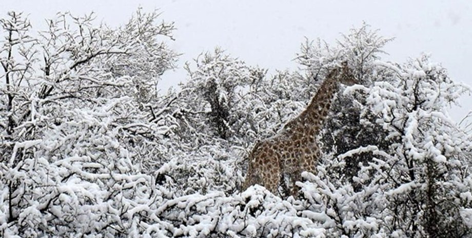 Фото: facebook.com/cyclone.of.rhodes