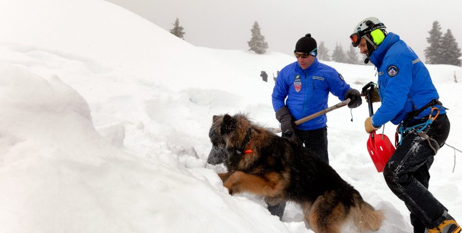 Фото: twitter Police nationale 38