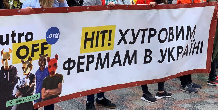 Фото: ХутроOFF