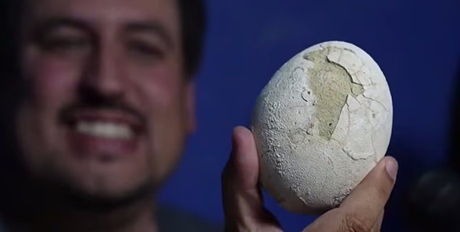 древнее яйцо динозавра