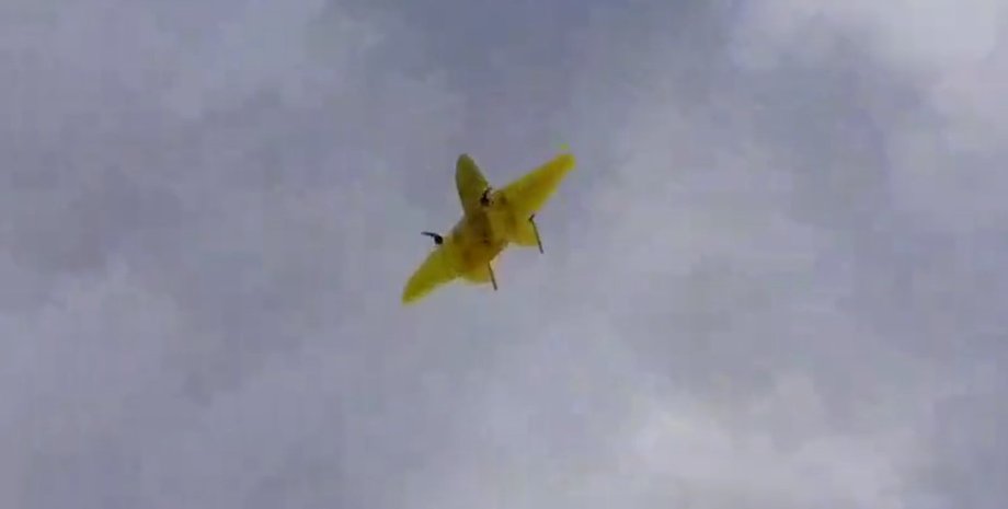 Дрон Матрьошка