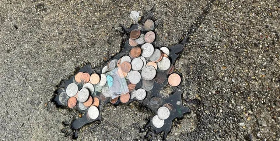 чикагская крысиная нора