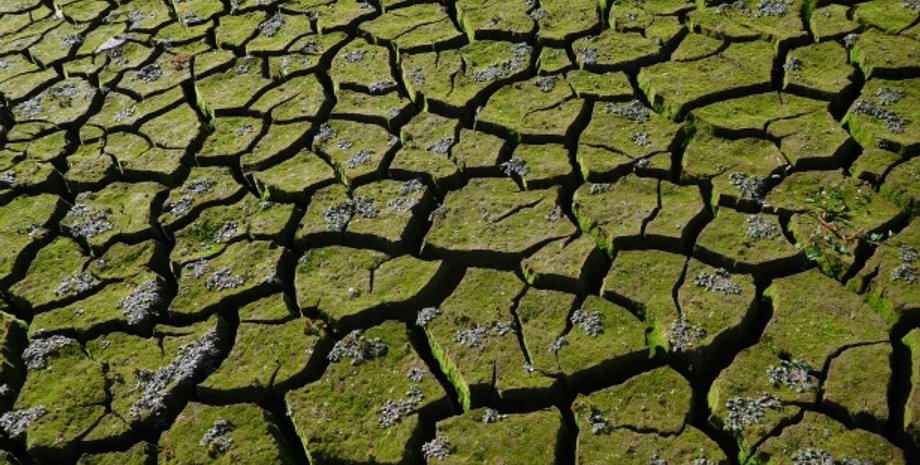 Фото: Public Domain Pictures