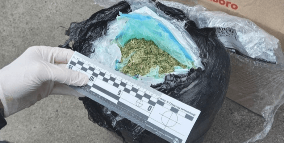 полиция, коробка, подарок, марихуана, наркотики, патрульные, почта, вещества