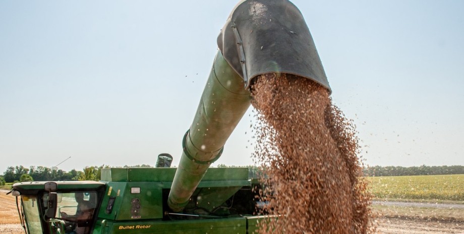 Зерно Зерно, агропродукция, Украина, экспорт, торговля, эмбарго
