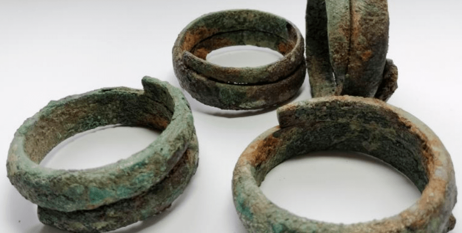 В Польше обнаружили 13 бронзовых артефактов