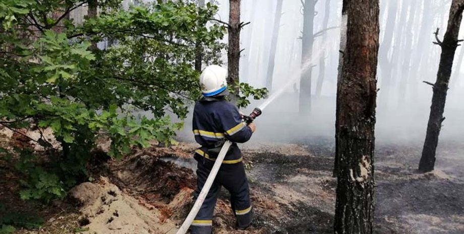 Фото: ГосЧС