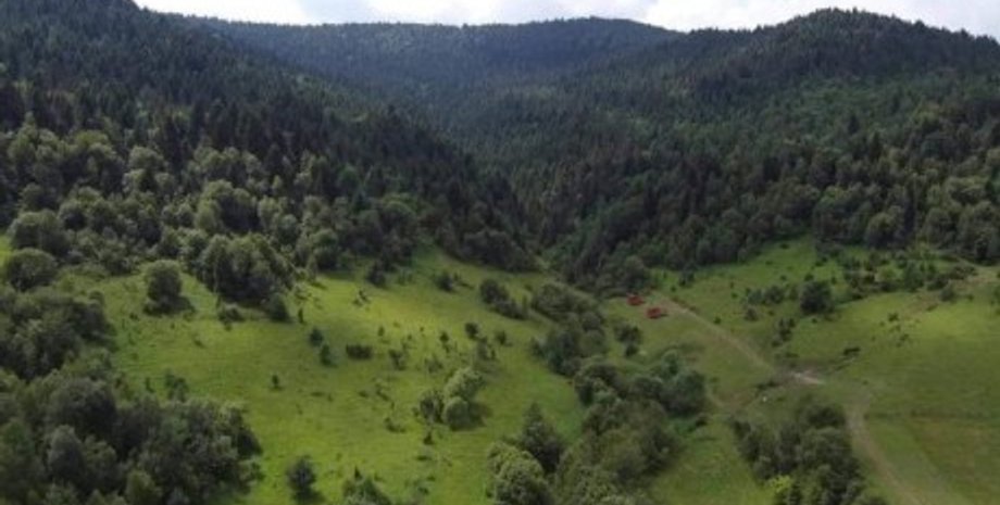 карпаты горы