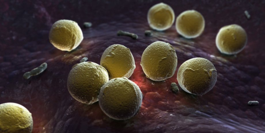 Фото с сайта huffingtonpost.ca