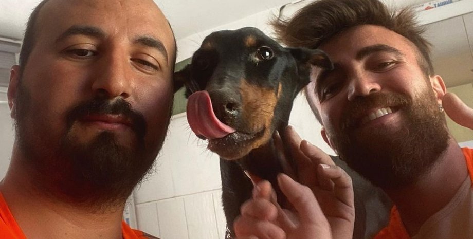 спасение животных, землетрясение в турции, доберман сила, собака спасение