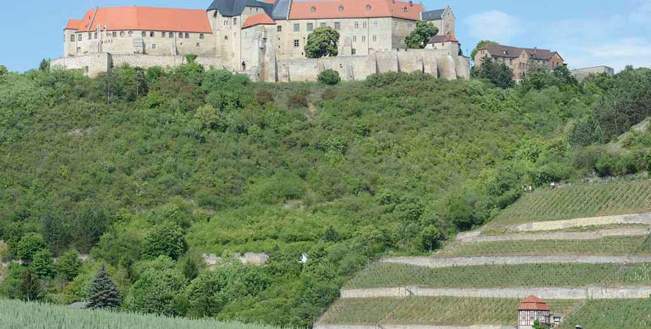 Германия, башня, замок, раскопки, исследования, находка, археология, кладка, история, реконструкция, археологи