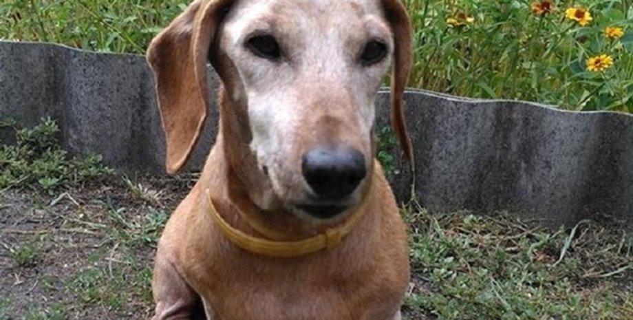 Фото: Facebook/Вєтрова Лана