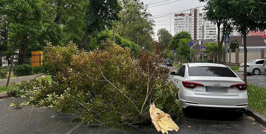 машина, дерево, ураган в киеве, погода в Киеве