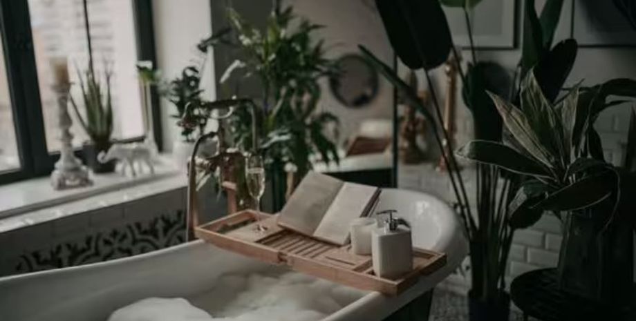 Кімнатні рослини, спатифілум або Peace lily, переваги вазона, як доглядати, чим корисна лілія, цікаві поради