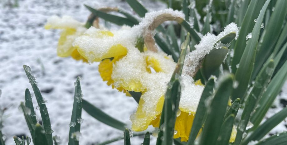 Північ Одещини засипало снігом