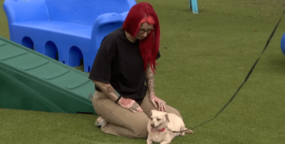 Маленькая собачка, пропавшая из дома своей семьи в Миссисипи нашлась спустя 5 лет в другом штате