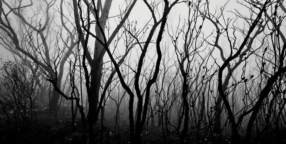 массовое вымирание, древние предки, предок человека