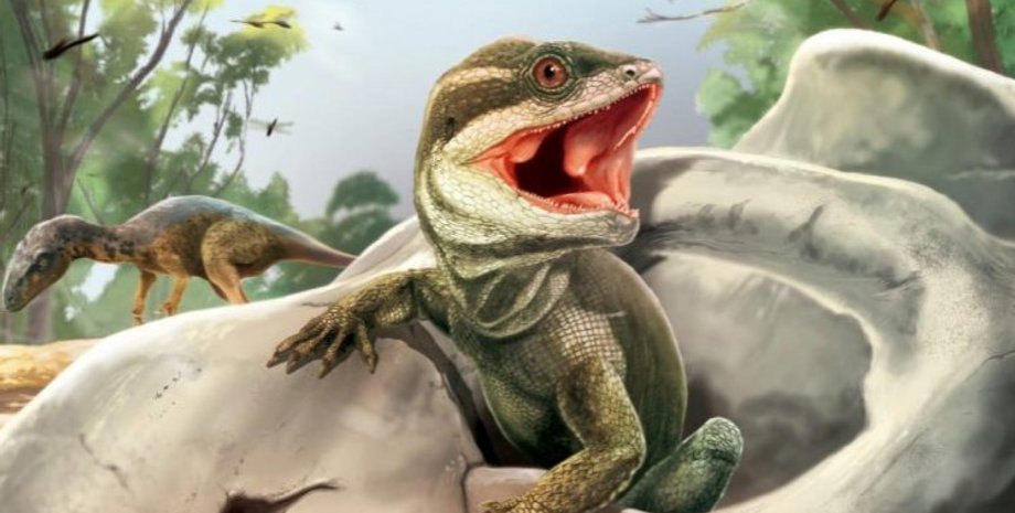 Taytalura alcoberi. Художня реконструкція.