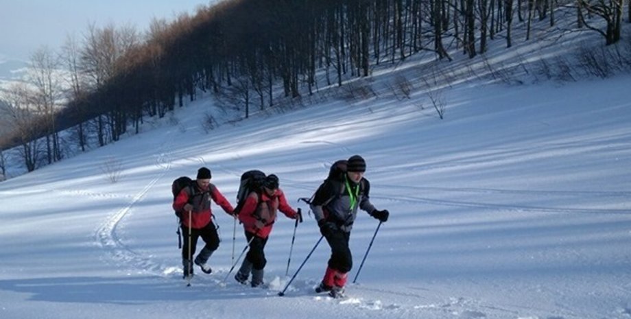 Фото: facebook.com/DsnsZakarpattya