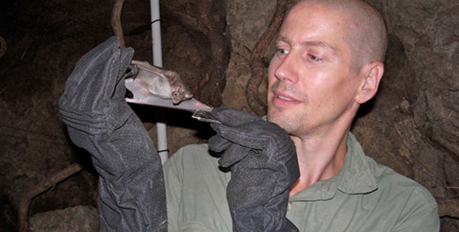 Биолог Брайн Фрай и летучая мышь. Фото: University of Queensland