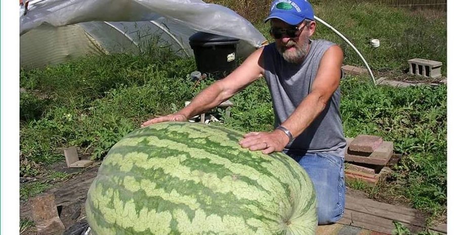 Фото: Клуб любителей гигантских арбузов